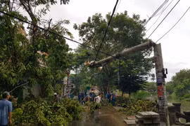 Thừa Thiên Huế: Bão số 5 đổ bộ, cây xanh đổ ngã khắp nơi, hệ thống điện hư hỏng nặng