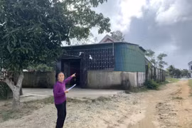 Nghi Xuân (Hà Tĩnh): Đền bù gần 586 m2 đất với giá 'bèo', cụ bà 73 tuổi cầu cứu!
