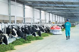 Vinamilk sẽ bán hết hơn 310.000 cổ phiếu quỹ