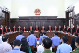 Đoàn liên ngành sẽ xác minh vụ án Viện trưởng VKSND tối cao kháng nghị