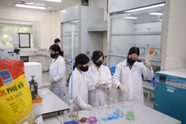 DPM: Sản xuất kinh doanh phân bón và hoá chất tăng mạnh