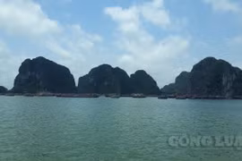 Đến với Quảng Ninh, du khách sẽ nhận được nhiều ưu đãi "khủng" trong dịp hè 2020