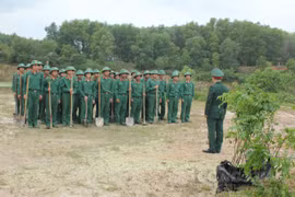 LLVT tỉnh Thừa Thiên Huế ra quân thực hiện "Tết trồng cây đời đời nhớ ơn Bác Hồ".