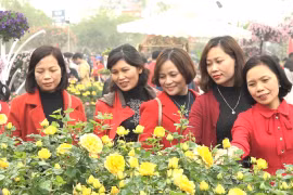 Hưng Yên: Rộn ràng lễ hội hoa Xuân Quan 2020