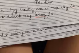 Cười ngất với loạt bài văn tả cây của học sinh tiểu học
