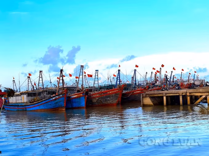 thanh hoa chu dong ung pho voi dien bien cua bao conson hinh 1