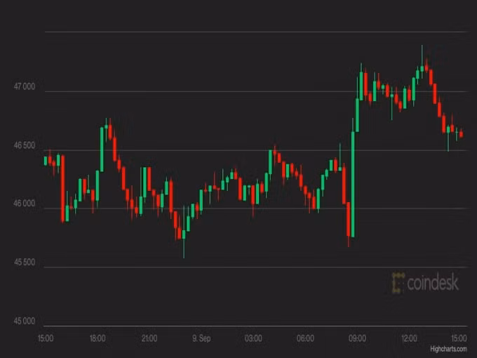 gia bitcoin hom nay 10 9 tro lai tren moc 46000 usd hinh 1