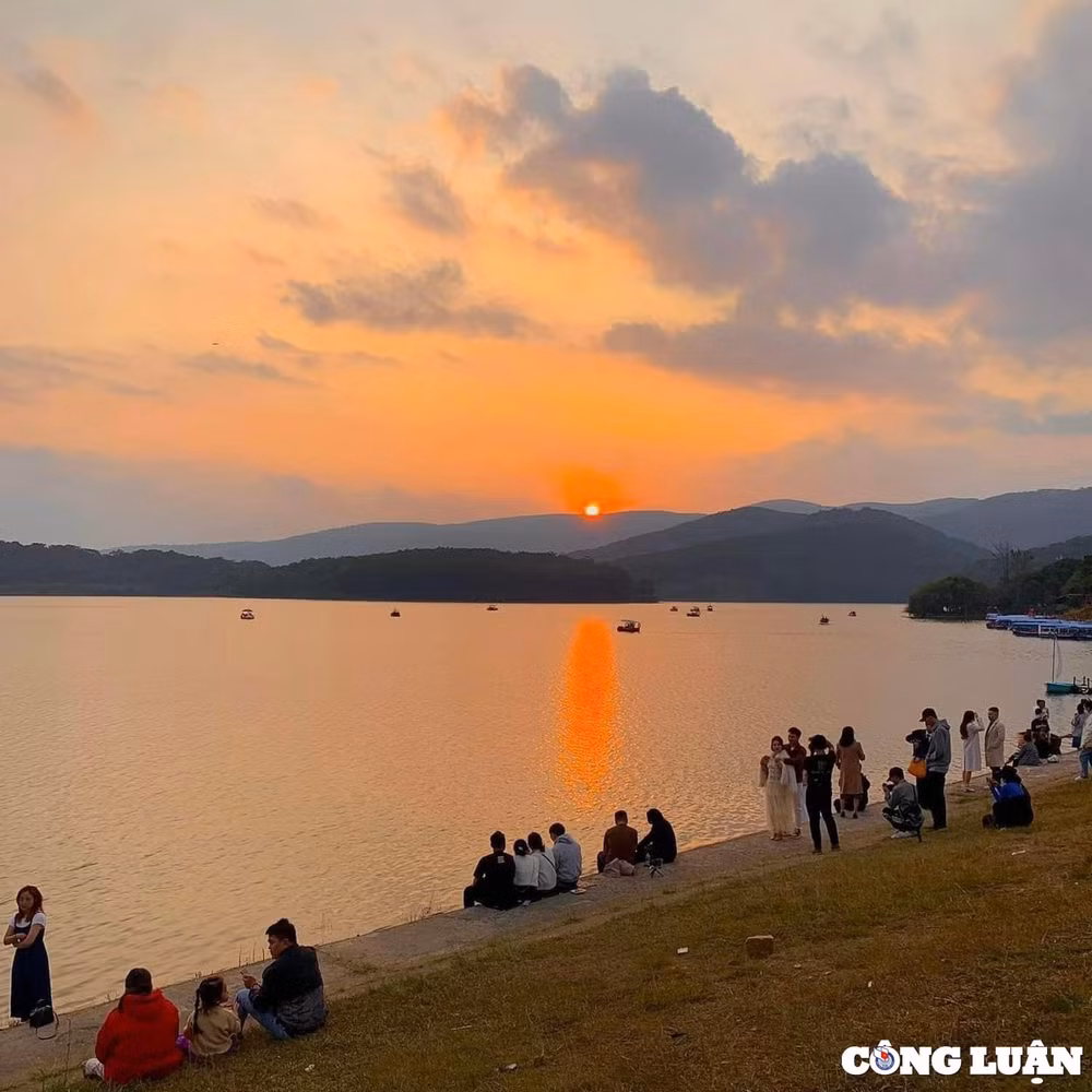 ho xuan huong nang kieu cua xu so da lat mong mo hinh 1