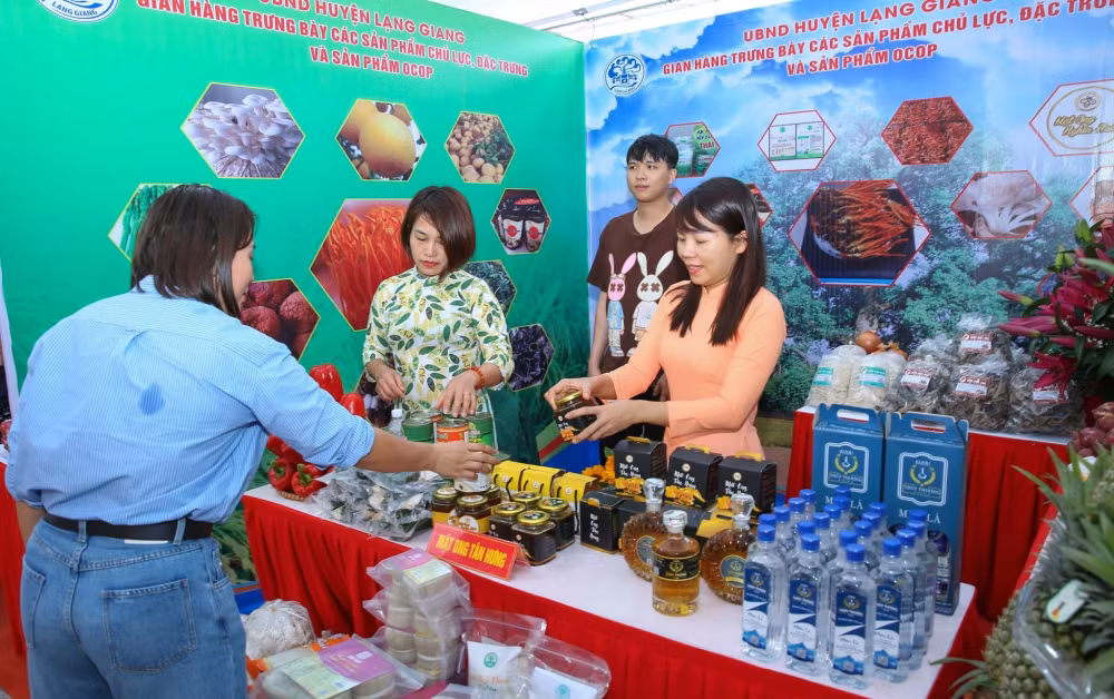 hoi bao xuan giap thin tinh bac giang khong gian van hoa nhieu y nghia hinh 10
