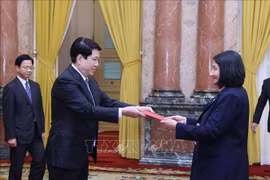 Chủ tịch nước Lương Cường tiếp Đại sứ các nước trình Thư ủy nhiệm