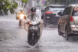 Dự báo thời tiết ngày 1/4: Nam Bộ mưa to, Bắc Bộ trời rét