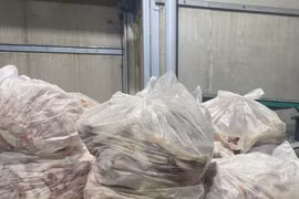 Hà Nội: Phát hiện hơn 7 tấn nội tạng không nguồn gốc