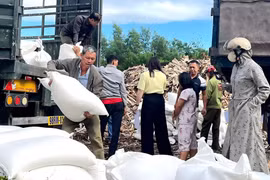 Hơn 7,2 nghìn học sinh dân tộc thiểu số Bắc Ninh được hỗ trợ gạo của Chính phủ