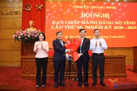Bí thư Thành ủy Hạ Long được bầu giữ chức vụ Phó Bí thư Tỉnh ủy Quảng Ninh