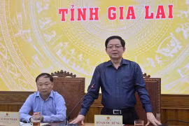 Phó Thủ tướng Hồ Quốc Dũng đề nghị tỉnh Gia Lai hỗ trợ bà con có nhà bị đổ sập, hư hỏng do bão Kalmaegi
