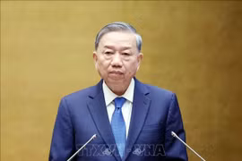Tổng Bí thư Tô Lâm: Thắp lên ngọn lửa Đổi mới - Khát vọng - Hành động, vì một Việt Nam giàu mạnh, phồn vinh, hùng cường