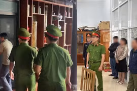 Bắt tạm giam 'ông trùm' gỗ keo tại Quảng Nam tội trốn thuế