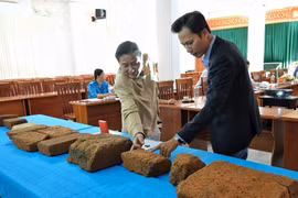 Gia Lai xây dựng hồ sơ đề nghị tháp Chăm An Phú là di tích cấp tỉnh