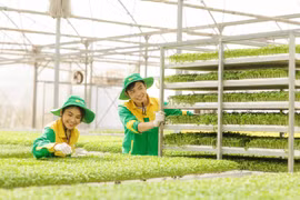Giảm ít nhất 15% phát thải khí nhà kính đến 2035
