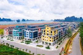 CEO Group thành viên HĐQT từ nhiệm ngay trước thềm đại hội cổ đông