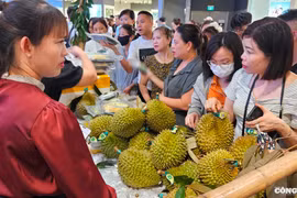 Hải Phòng: Hàng trăm người chen nhau mua sầu riêng sạch