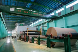 Cổ phiếu về đáy 2 năm trở lại đây, Đông Hải Bến Tre (DHC) vẫn mạnh tay chi cổ tức