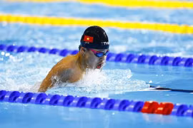 Will Phạm - Làn gió mới trong dàn vận động viên bơi Việt kiều tại Việt Nam