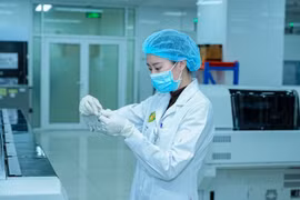 Cả nước có bao nhiêu trường đào tạo ngành y và luật?