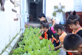Thu nhập giáo viên trở nên lạc hậu so với giá trị công việc và mức sống tối thiểu