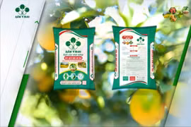 Supe lân vi sinh Lâm Thao hướng đến nền nông nghiệp xanh