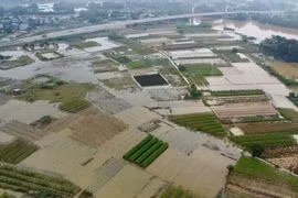 Miền núi phía Bắc ngập úng diện rộng, Trung Bộ nguy cơ thiếu nước sản xuất vụ hè thu
