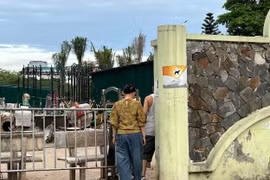 Người dân luồn lách, trèo hàng rào vào công viên đang cải tạo ở Hà Nội