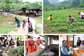 Chính phủ điều chỉnh đối tượng, dự án thành phần của Chương trình phát triển KTXH vùng dân tộc thiểu số và miền núi
