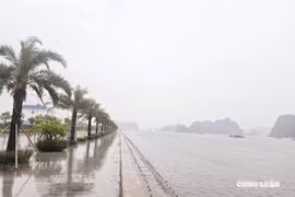 Quảng Ninh quyết liệt phòng chống bão số 5: Tất cả tàu thuyền đã về nơi an toàn