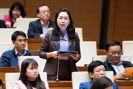 Tạo điều kiện thuận lợi cho doanh nghiệp tiếp cận vốn, phát triển sản xuất kinh doanh, xuất khẩu hàng hóa