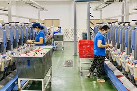 Hai cực tăng trưởng là Hà Nội và TP HCM có sự sụt giảm mạnh số doanh nghiệp thành lập mới