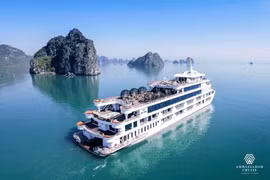 Chuyến du thuyền tri ân: Khúc ca hào hùng trên vịnh Hạ Long