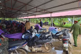 Hơn 19.000 học sinh bị phát hiện đi xe máy khi chưa đủ điều kiện