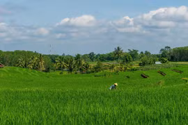 Sửa đổi, bổ sung một số quy định “điểm nghẽn” trong lĩnh vực nông nghiệp và môi trường