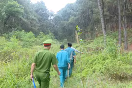 Chủ động phòng chống cháy rừng mùa nắng nóng