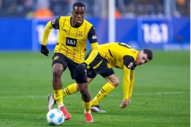 Nhận định Dortmund vs Sporting Lisbon, 00h45 ngày 20/2 tại Champions League