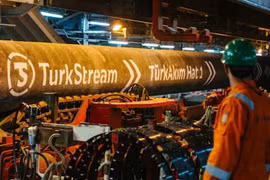 Nguồn cung cấp khí đốt của Nga cho châu Âu qua TurkStream đạt mức cao kỷ lục trong tuần thứ hai liên tiếp
