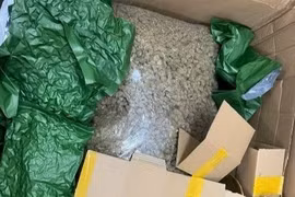 Đề nghị truy tố nhóm đối tượng trong đường dây mua bán trái phép hơn 700kg cần sa
