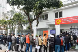 Chưa chuyển giao cấp đổi giấy phép lái xe từ 19/2