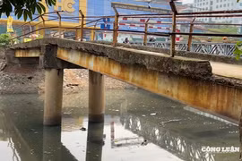 Hà Nội giám sát, đốc thúc thay thế hàng trăm cầu yếu, cầu tạm