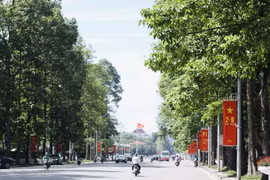 Hà Nội di dời, chặt hạ 24 cây xanh phục vụ thi công mở rộng đường Hùng Vương kéo dài