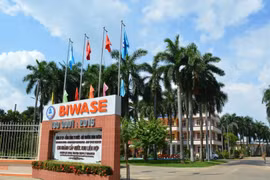 Biwase (BWE) tạm ứng 286 tỷ cổ tức tiền mặt, lợi nhuận vượt 11% kế hoạch nhờ biên lãi gộp vọt lên 55%