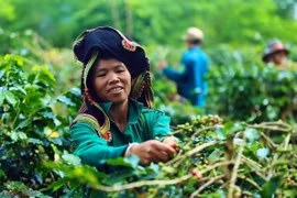 Điện Biên bứt phá trong thực hiện Chương trình giảm nghèo bền vững
