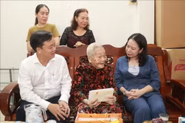 Phó Chủ tịch nước Võ Thị Ánh Xuân thăm, tặng quà các gia đình chính sách
