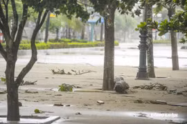 Thanh Hoá: Biển Sầm Sơn tan hoang trước bão số 10